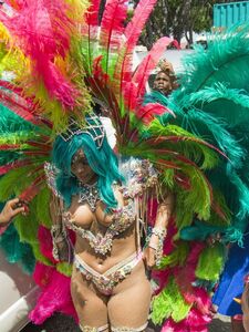 Rihanna Barbados Festival Pussy Slip Leaked