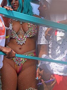 Rihanna Barbados Festival Pussy Slip Leaked