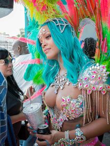 Rihanna Barbados Festival Pussy Slip Leaked