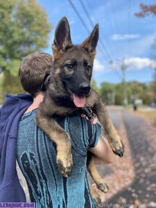 Cyber Softy exclusive onlyfans leaked nudes