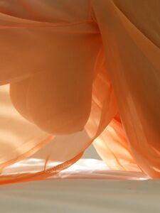 Bignino new hot onlyfans leaked nudes