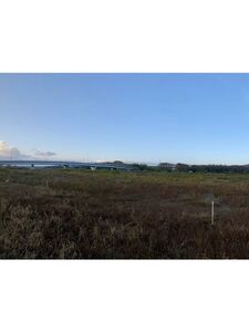 Mira aka heyhorny hot onlyfans leaked nude