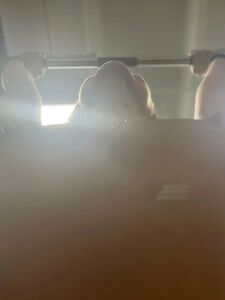 Fitbryceadams new hot onlyfans leaked nudes