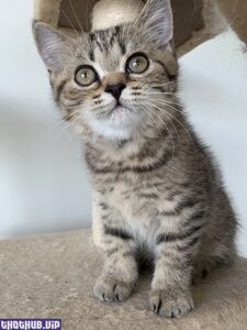 imnotlaika new hot onlyfans leaked nudes