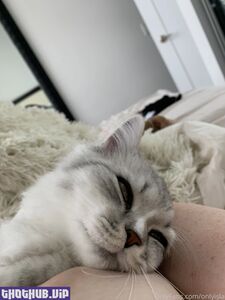 Isla D aka onlyisla new hot onlyfans leaked nudes