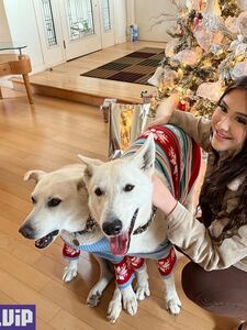 Mami Bree new hot onlyfans leaked nudes