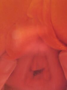 Kateelife new hot onlyfans leaked nudes