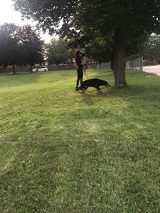 kristenn onlyfans leaks nude photos and videos