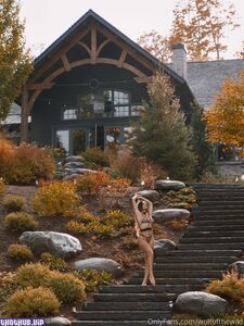 wolfofthewild onlyfans leaks nude photos and videos