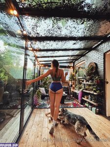 wolfofthewild onlyfans leaks nude photos and videos