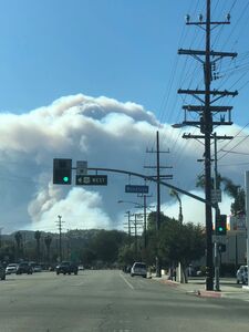 Kimber Veils onlyfans leaks nude photos and videos