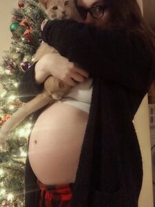 zzvioletzz onlyfans leaks nude photos