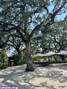 daisy keech onlyfans leaks nude photos