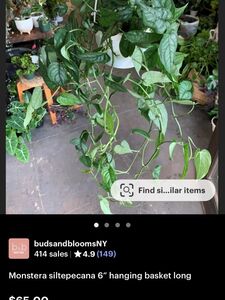 nudesfordoods Onlyfans Leaks Nude Photos