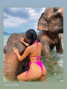 Praewasian Onlyfans Leaks Nude Photos