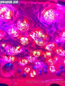 Mirrkatt2000 Onlyfans Leaks Latest Nude Photos