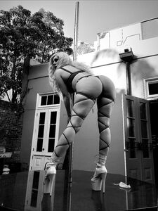 Briellebell3 Onlyfans Leaks Latest Nude Photos