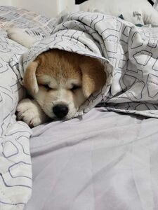 RUTH LEE Onlyfans Leaks Latest Nude Photos