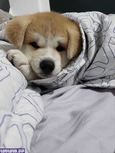 RUTH LEE Onlyfans Leaks Latest Nude Photos