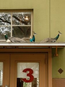 Ushna Malik Exclusive Onlyfans Leaked Nudes